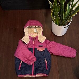 Patagonia Reversible Jacket